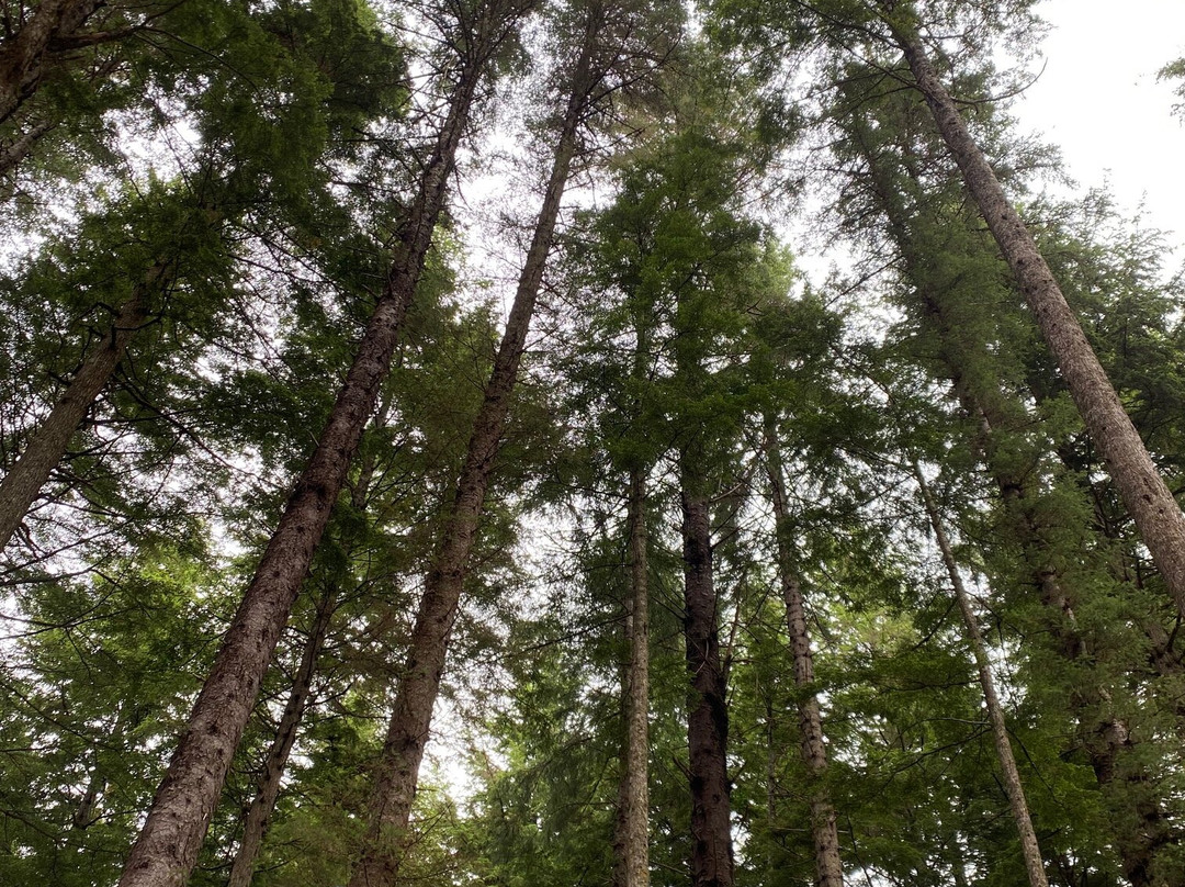 Skyglider Gondola-胡纳必去景点