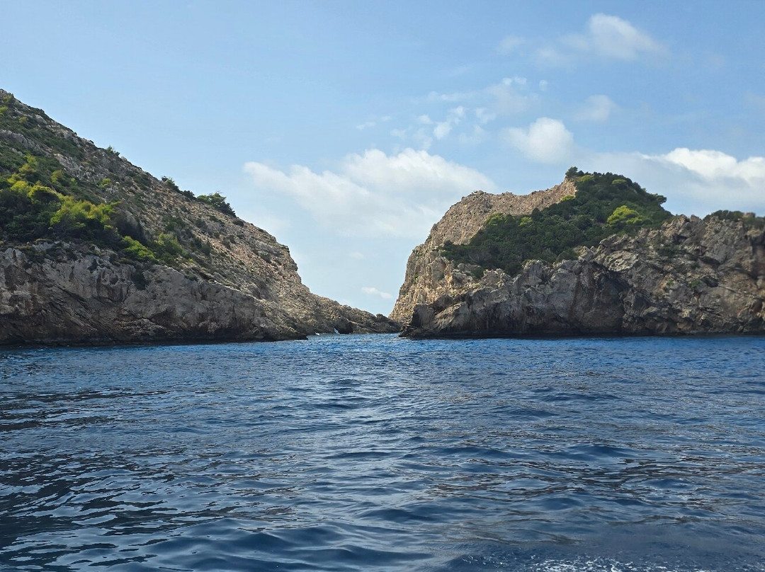 Potamitis Brothers-沃利迈斯必去景点