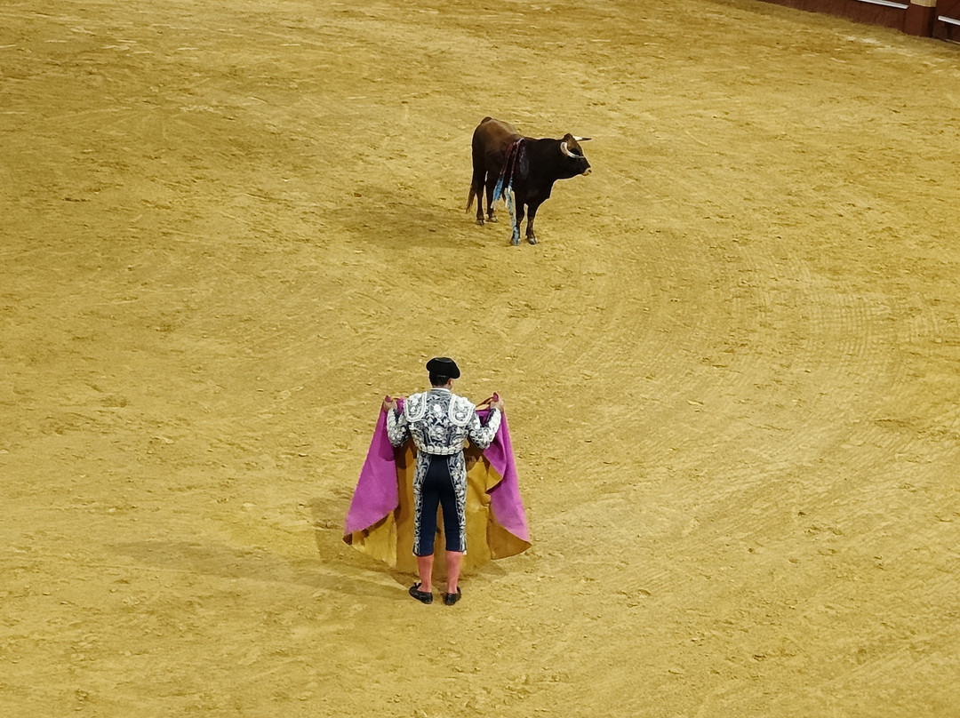 Plaza De Toros Almeriense-阿尔梅里亚省必去景点