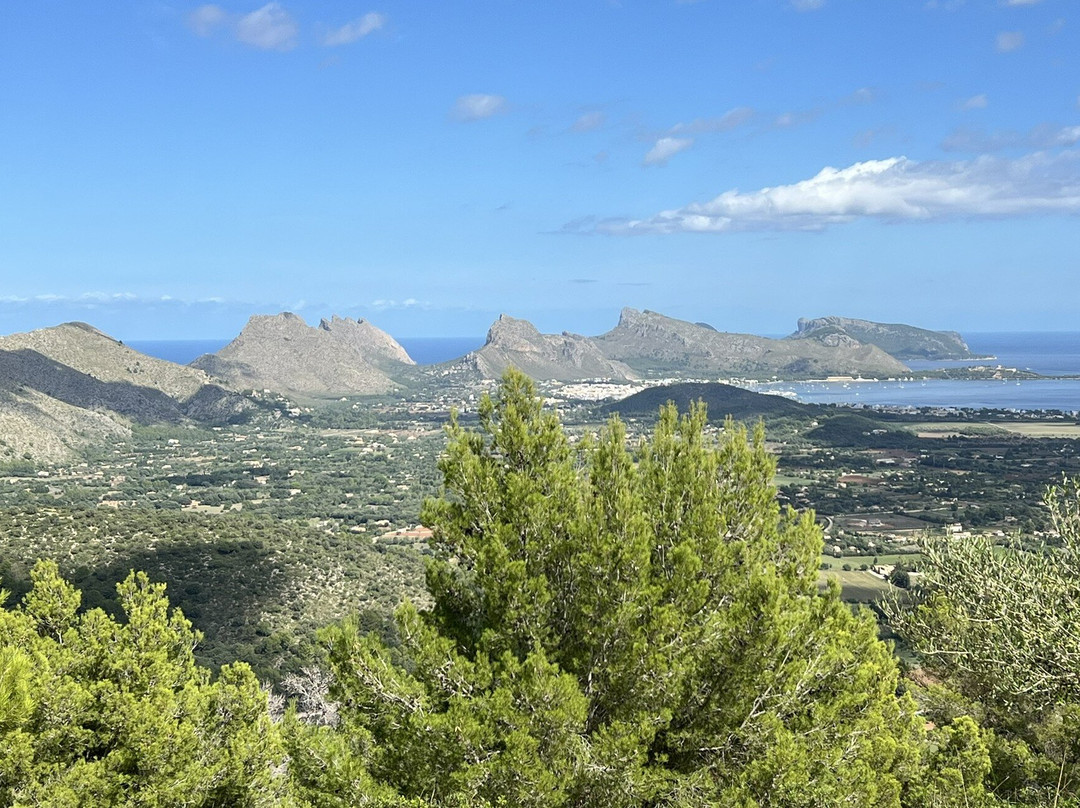 Puig de Pollenca-Pollenca必去景点