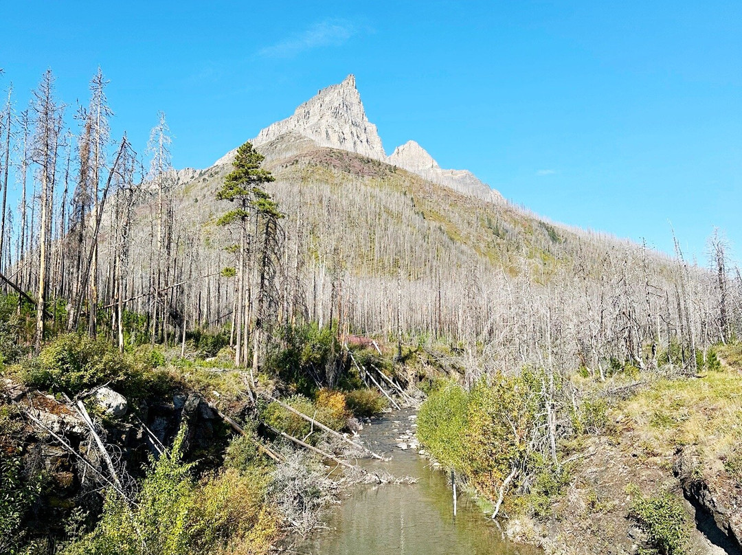 布莱基斯顿瀑布-沃特顿湖国家公园必去景点