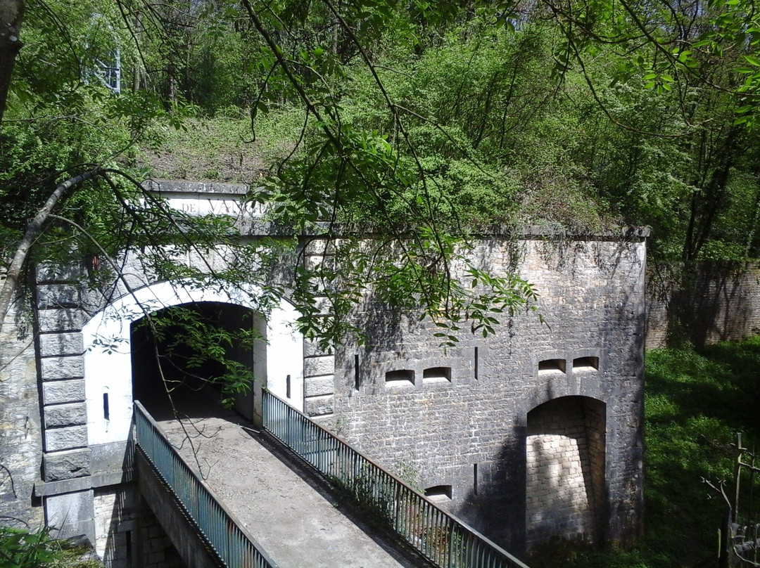 Fort De Vancia