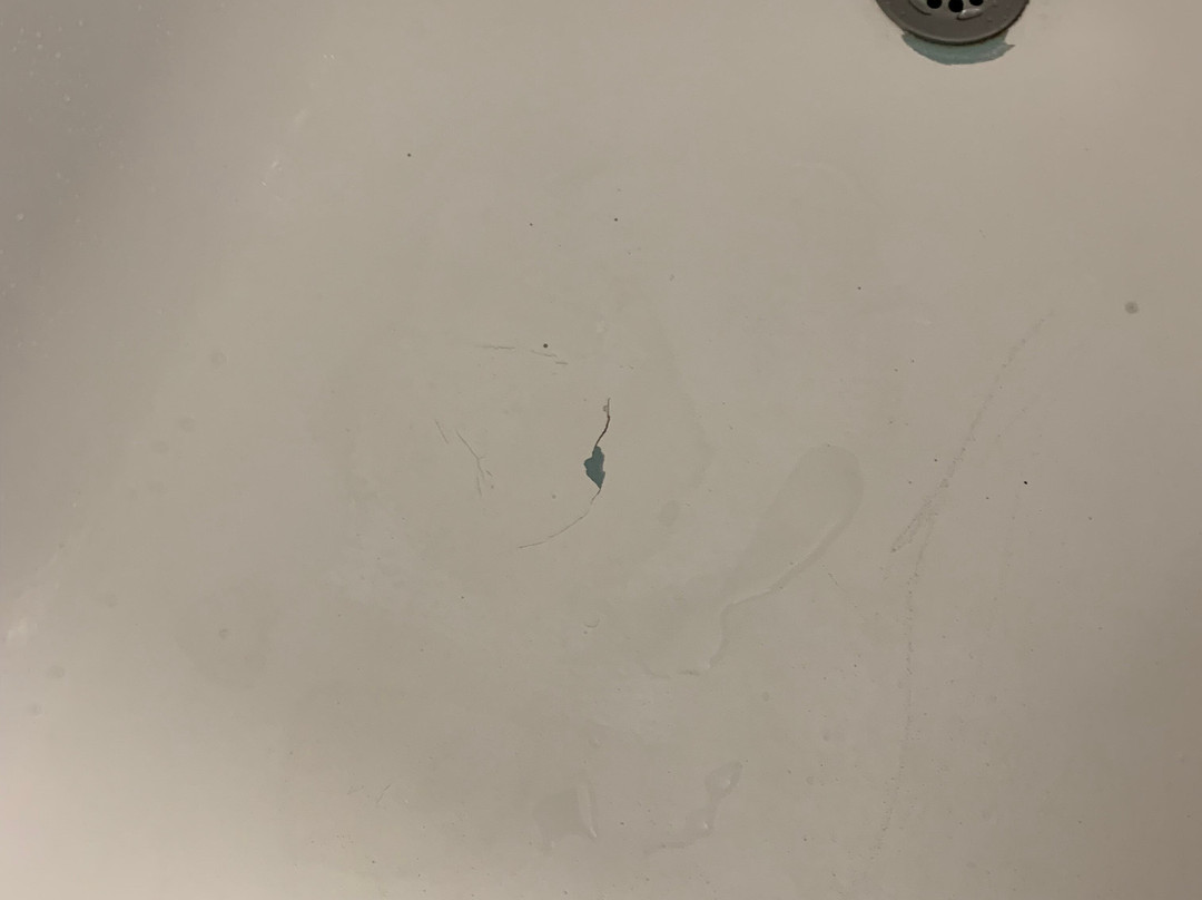 Super 8 by Wyndham Bangor主图