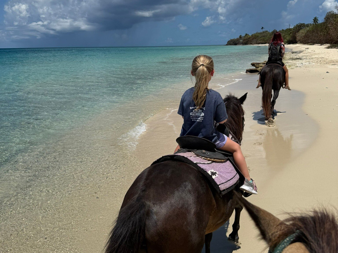 Cruzan Cowgirls-Frederiksted必去景点