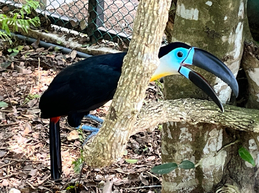 Birds Research Center & Resort-Hambantota必去景点