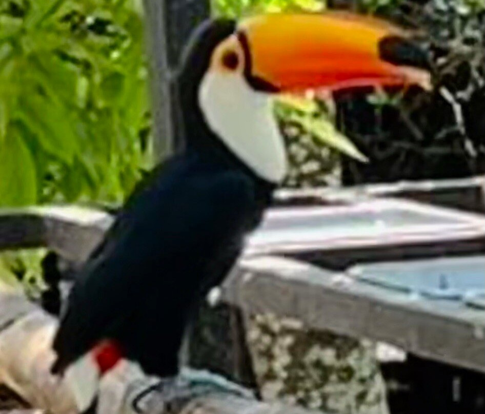 Birds Research Center & Resort-Hambantota必去景点