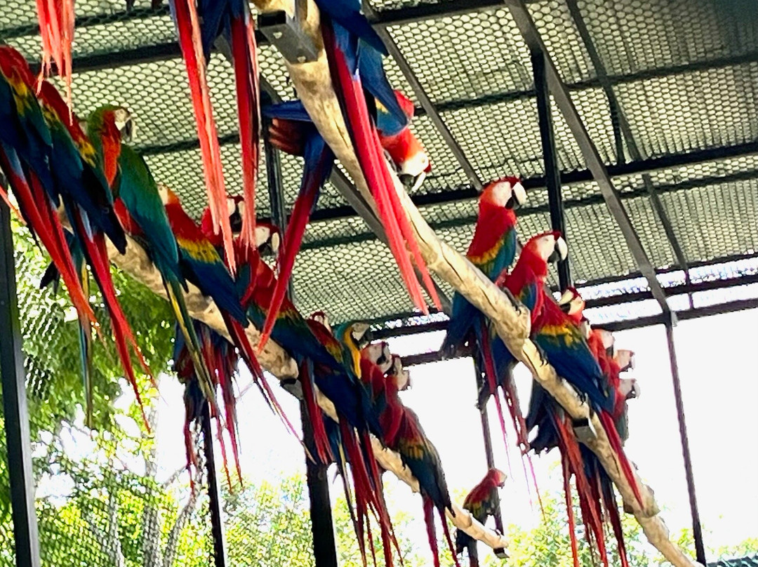 Birds Research Center & Resort-Hambantota必去景点