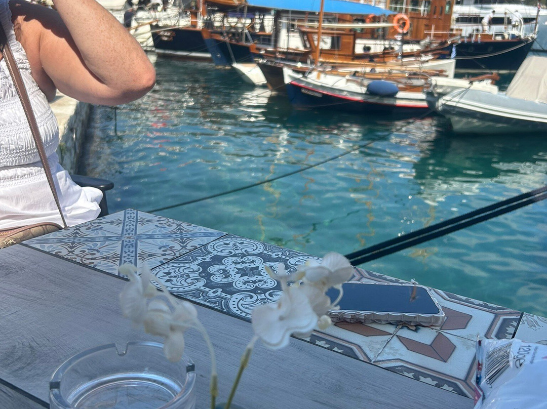 Fiscardo Harbor-菲斯卡尔宗必去景点