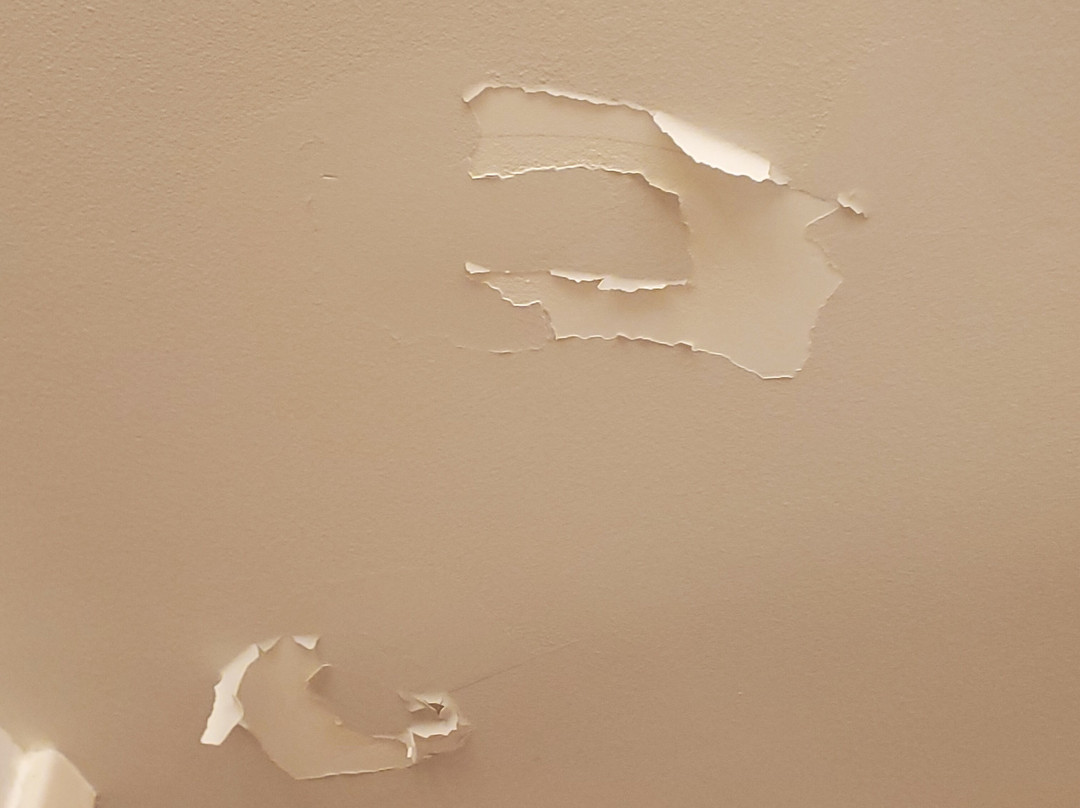 Comfort Suites主图