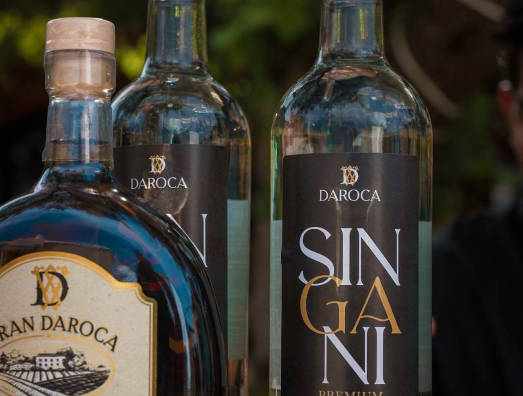 Viñedos Y Bodega Daroca-塔里哈必去景点