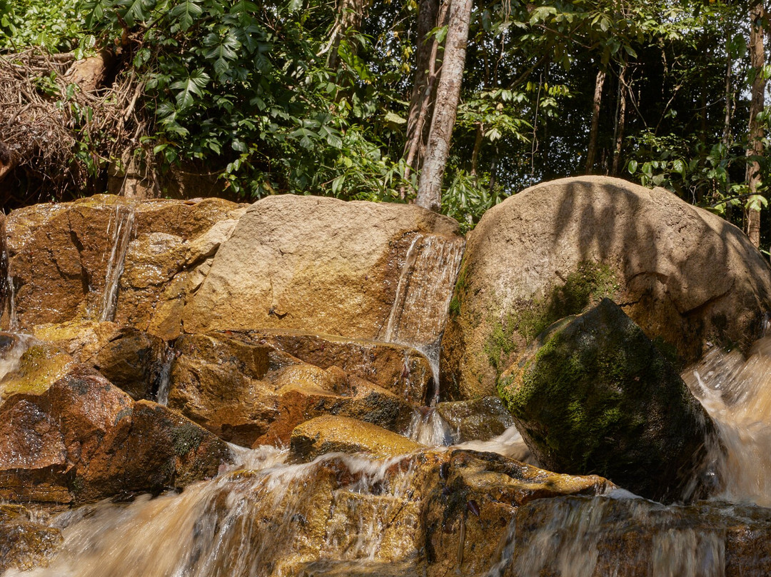 Touring Guyana-乔治城必去景点
