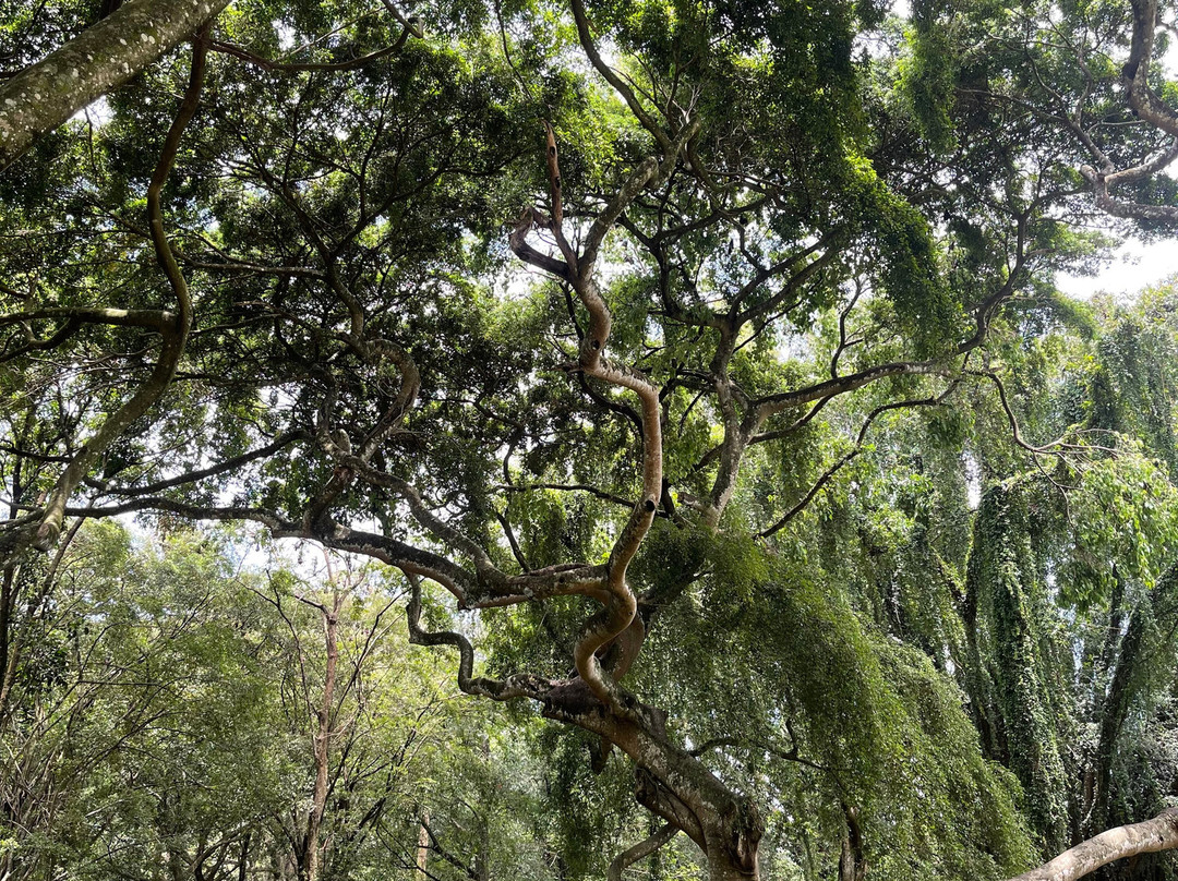 MYM Travels And Tours-班托塔必去景点