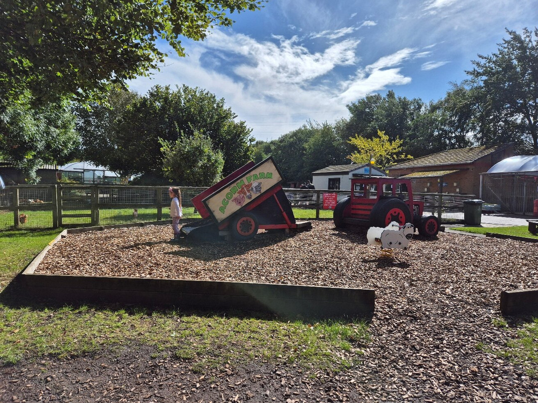 Acorn Farm-利物浦必去景点