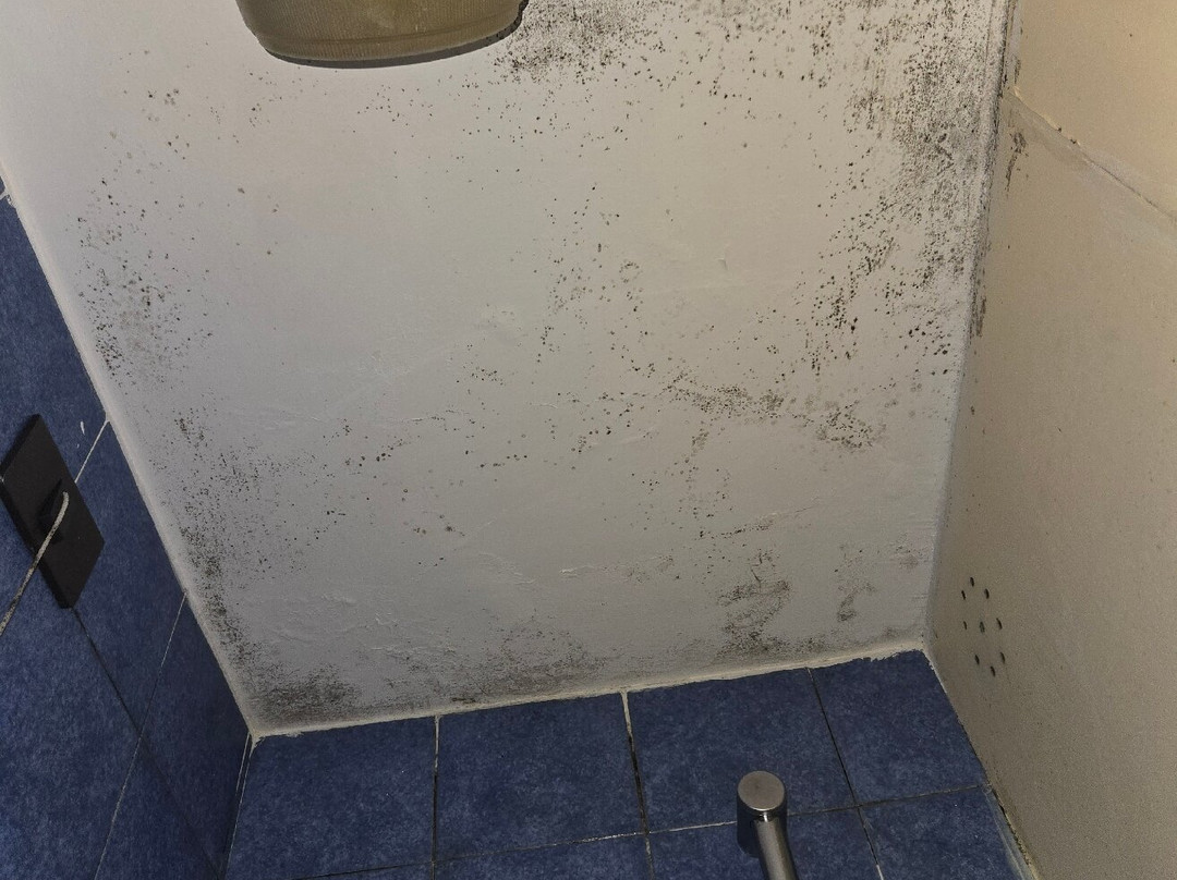 皮亚琴莎IDEA酒店集团主图