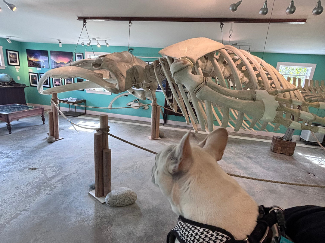 Oceanarium And Education Center-巴港必去景点