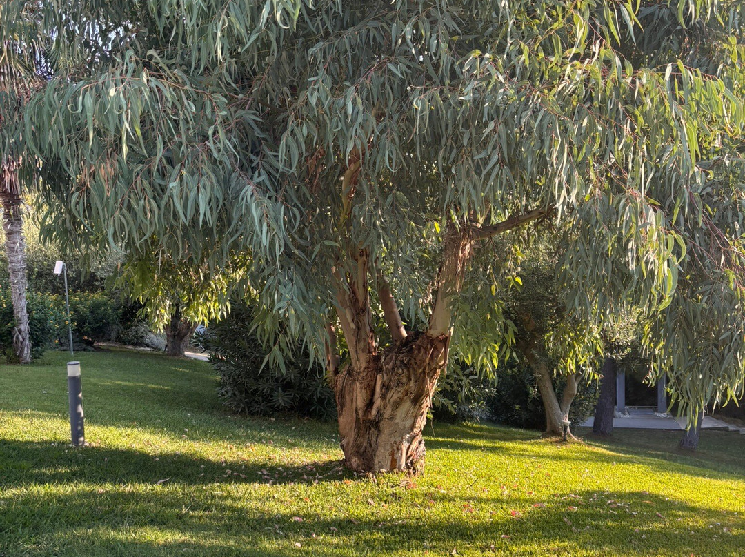 Avatel Eco Lodge主图