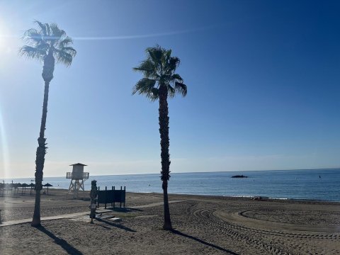 BLUESEA Calabahia-官方