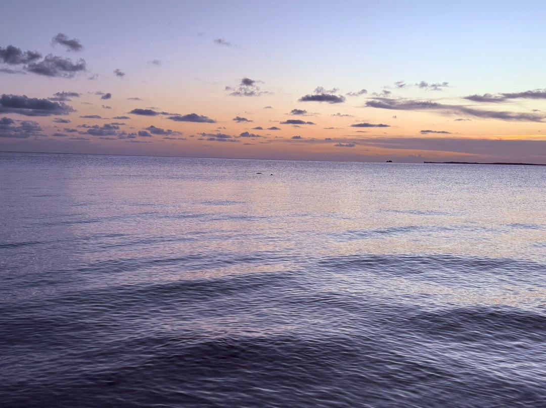 Fast Track TCI-普罗维登西亚莱斯必去景点