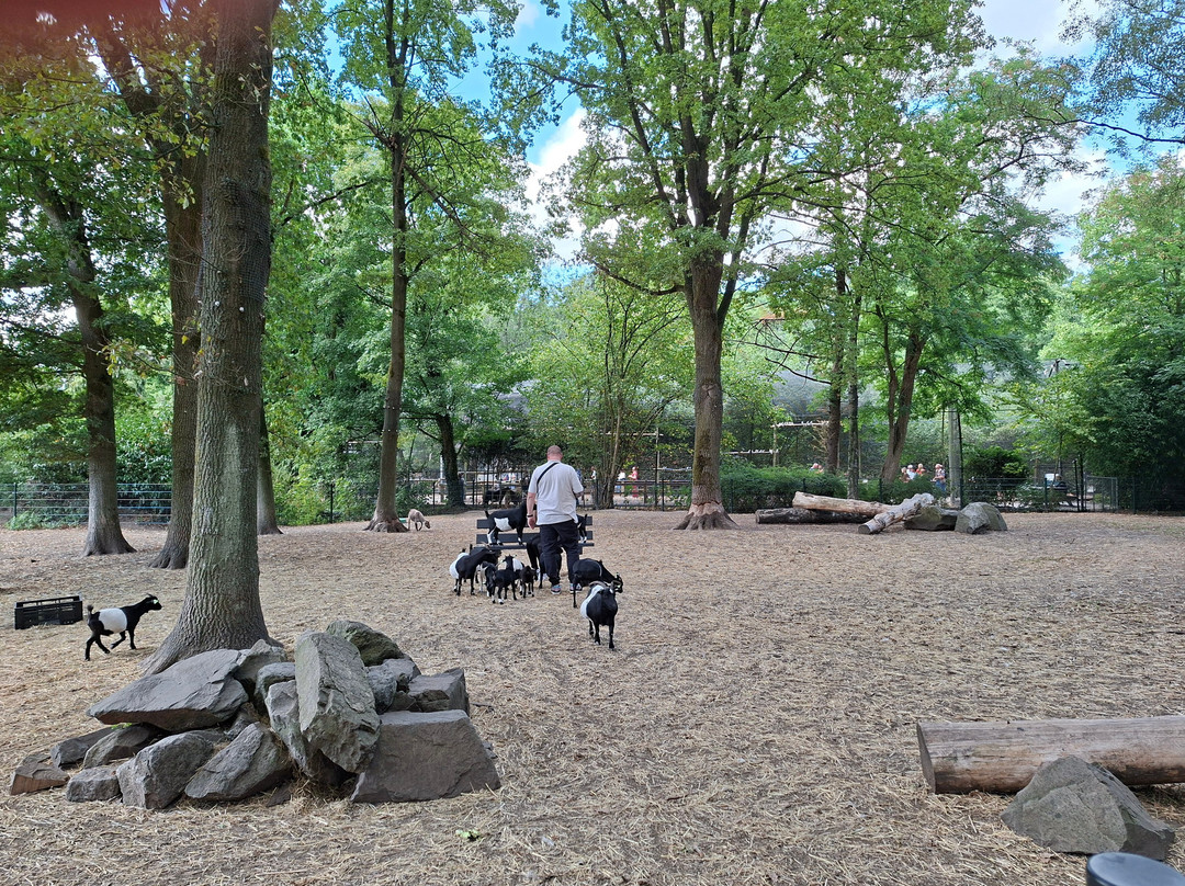 Zoo Veldhoven-Veldhoven必去景点