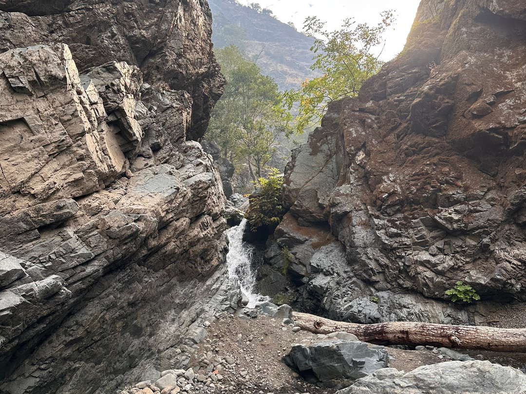 Arrowhead River Adventures, Rogue River Rafting-格兰茨帕斯必去景点