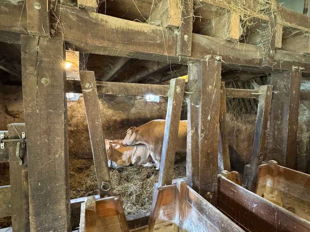 MUSEE DE LA CHALOSSE-Montfort-en-Chalosse必去景点