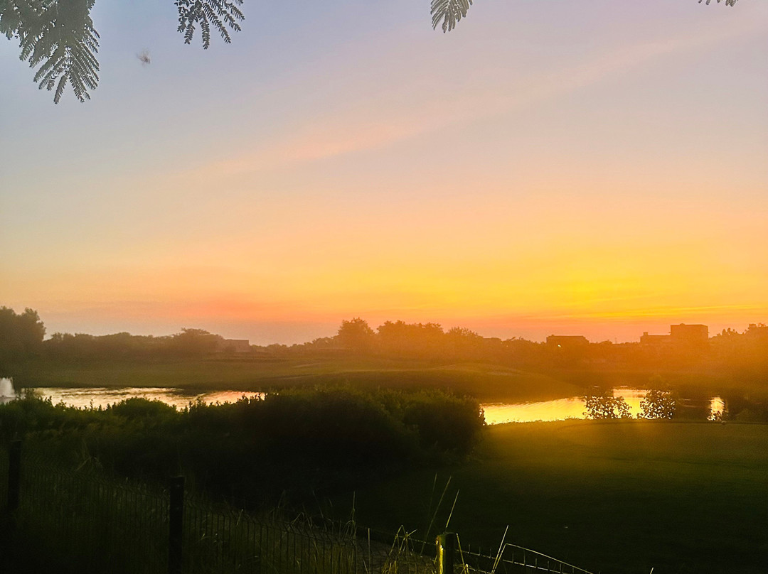 MYSA Zinc Journey by The Fern, Nani Devati, Gujarat主图