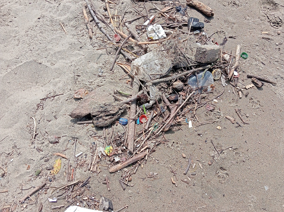 Playa San Pedrito-曼萨尼约必去景点