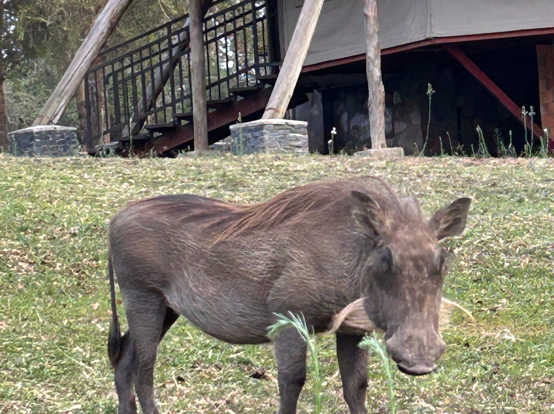 Jinja Bike Tours And Safaris-Buikwe必去景点