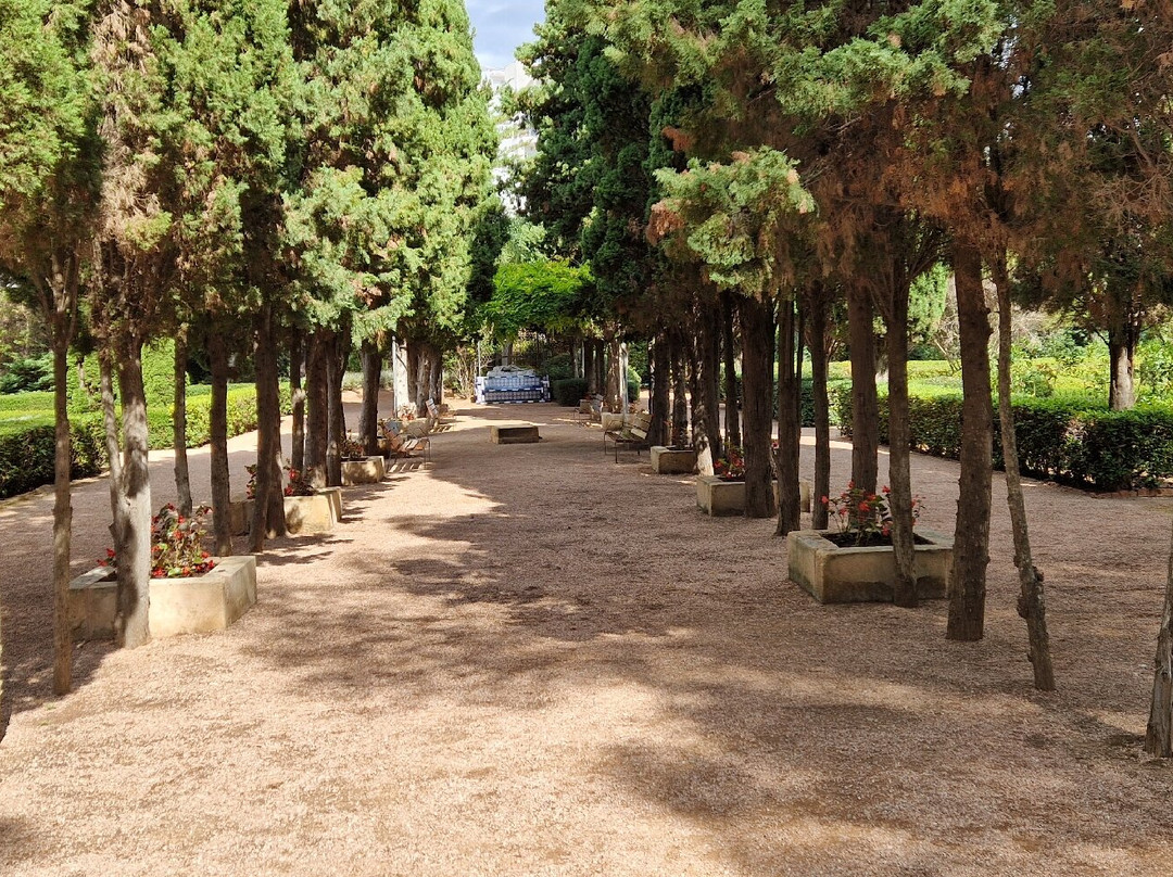 Marivent Garden-马洛卡帕尔马必去景点