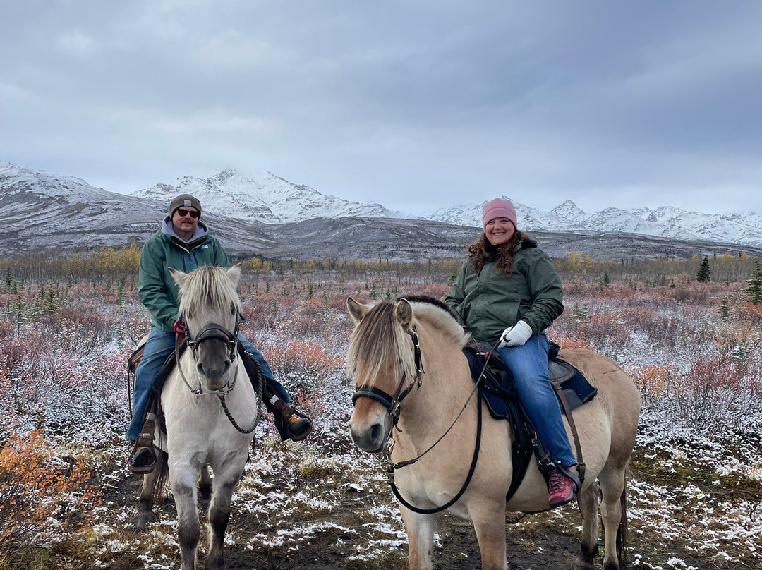 Denali Horseback Tours-德纳利国家公园和自然保护区必去景点