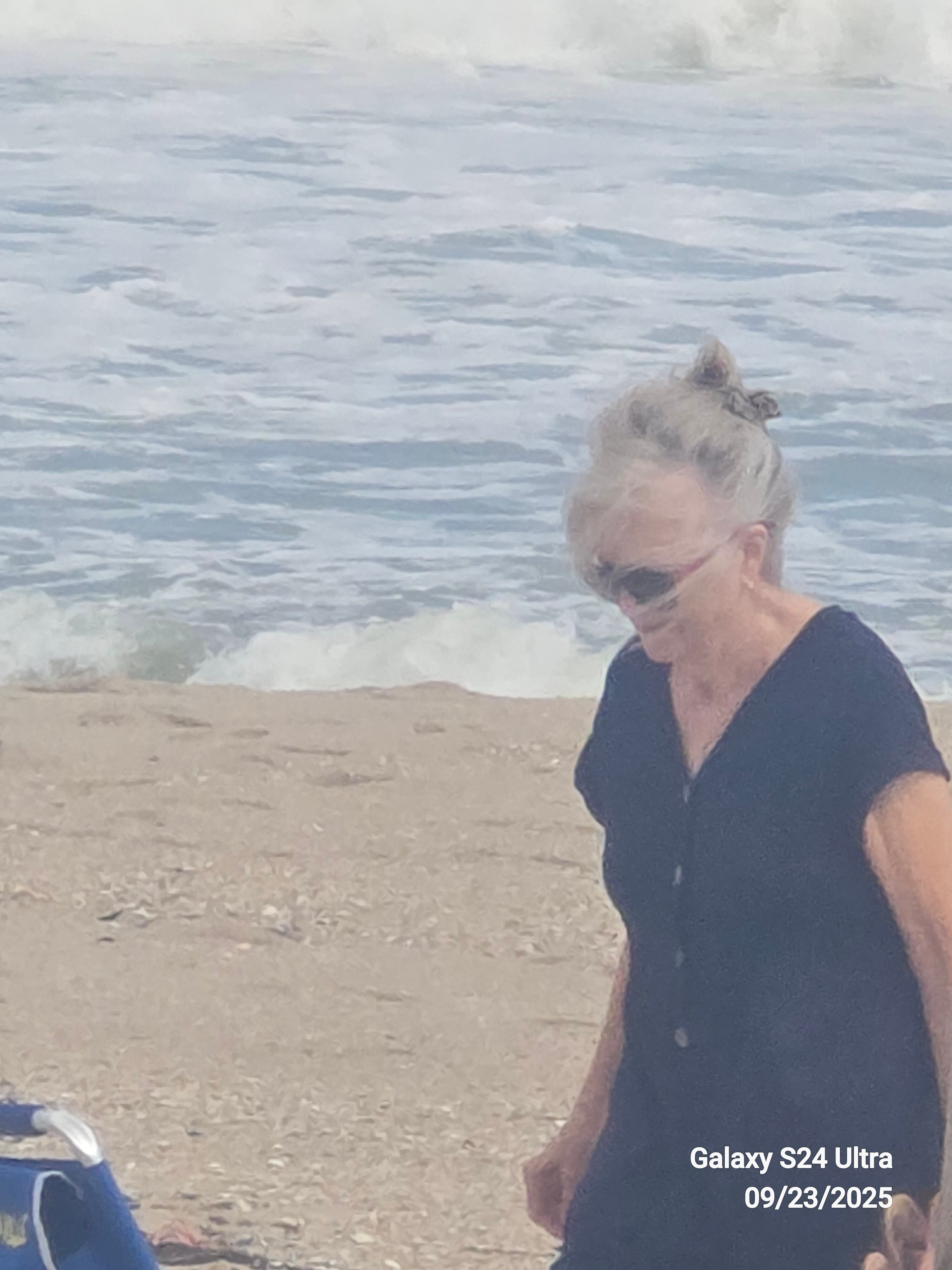 Driftwood Motel-官方