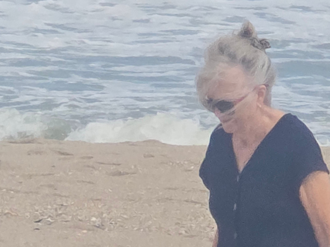 Driftwood Motel主图