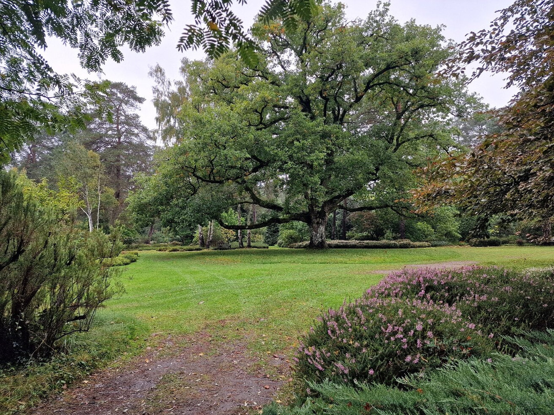 Arboretum des Grandes Bruyeres-Ingrannes必去景点
