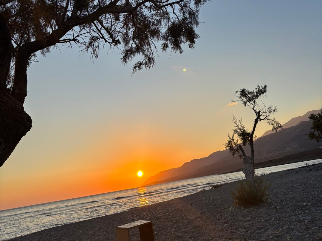 Studios Stavris主图