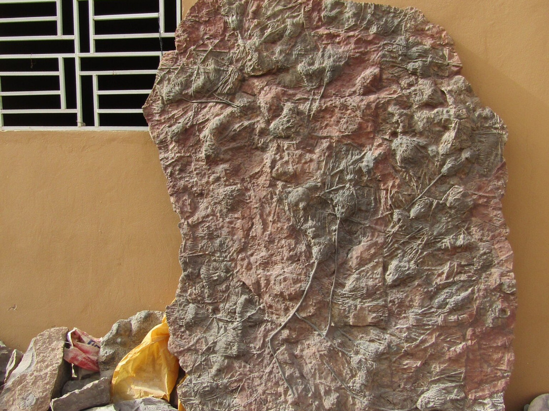 Macro Fossiles Kasbah-Erfoud必去景点