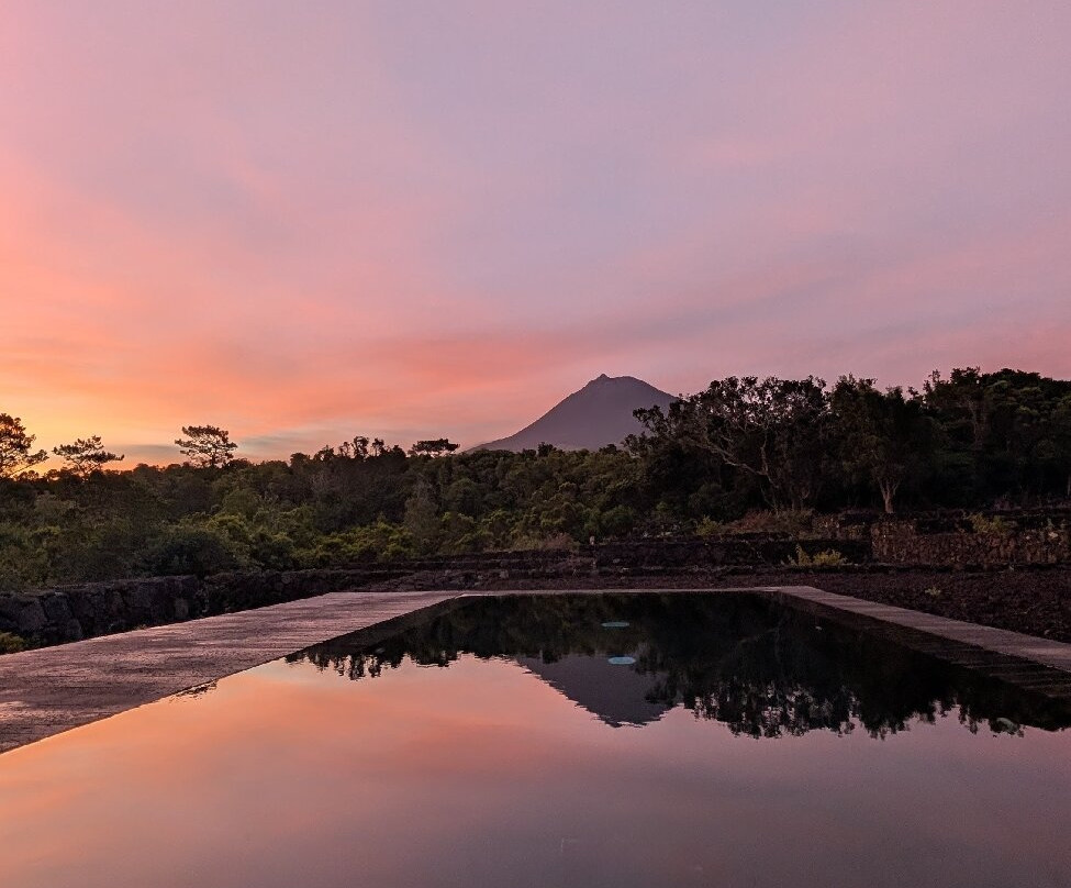 Pico Vineyards - by Unlock Hotels