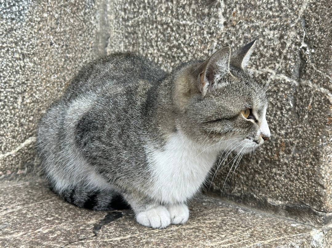 Sheki Karvansaray-舍基必去景点
