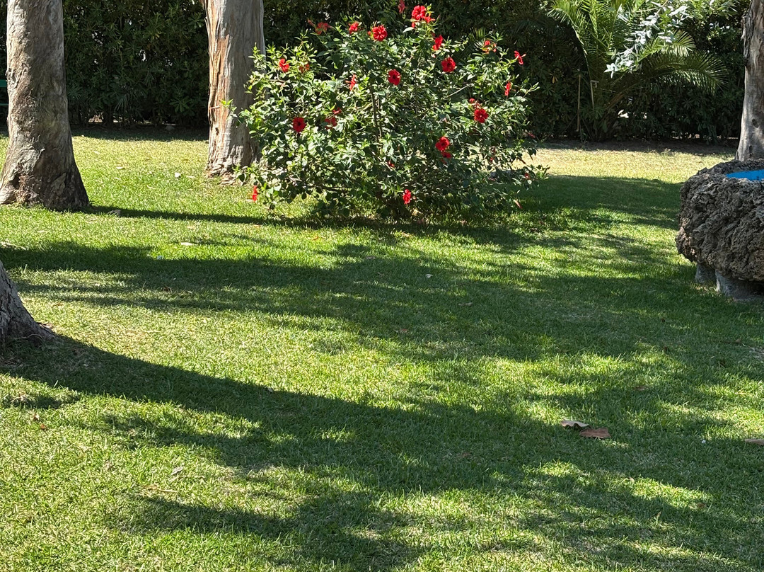 索尔马雷乡村酒店主图