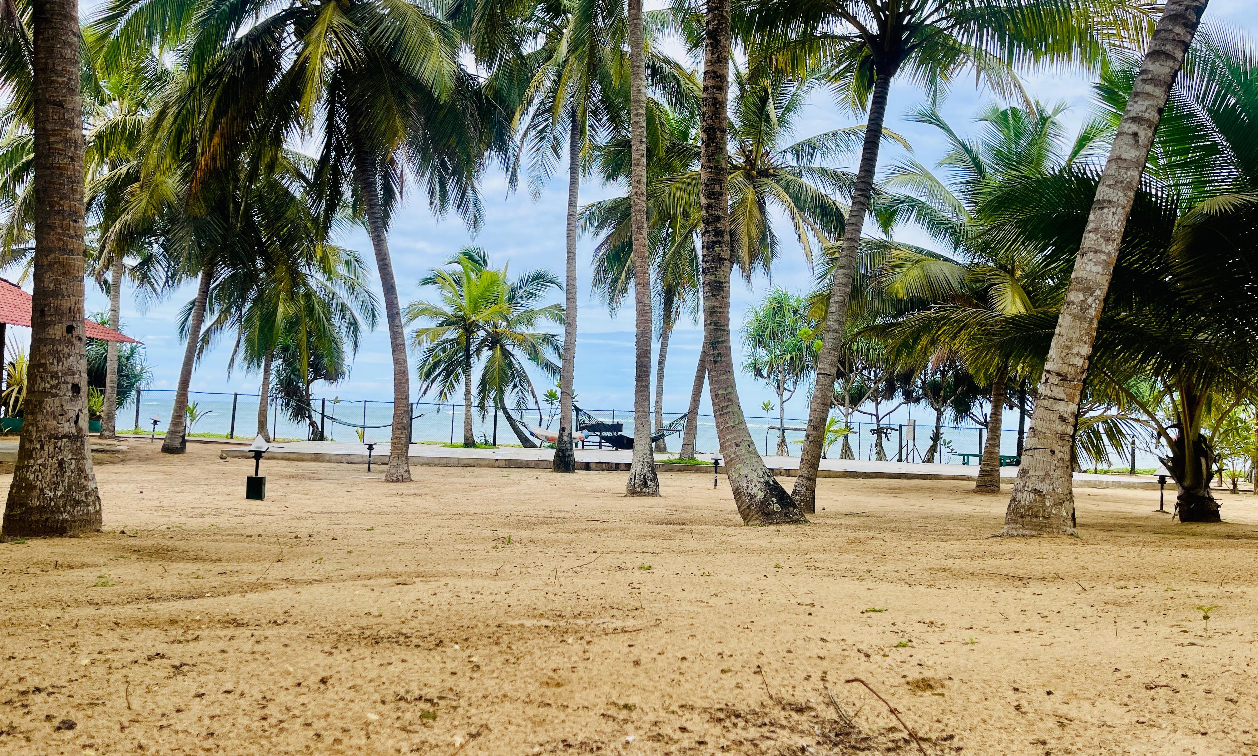 Nature Lanka Ayurveda Health Resort-泳池