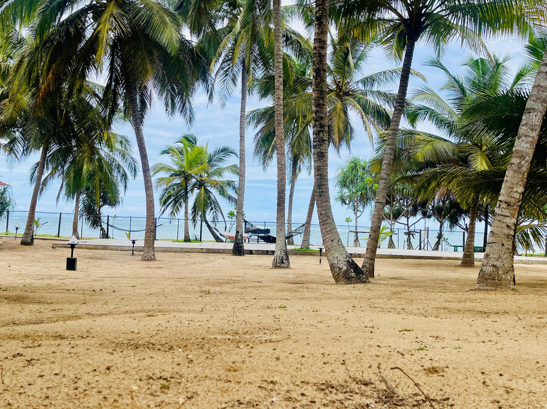 Nature Lanka Ayurveda Health Resort主图