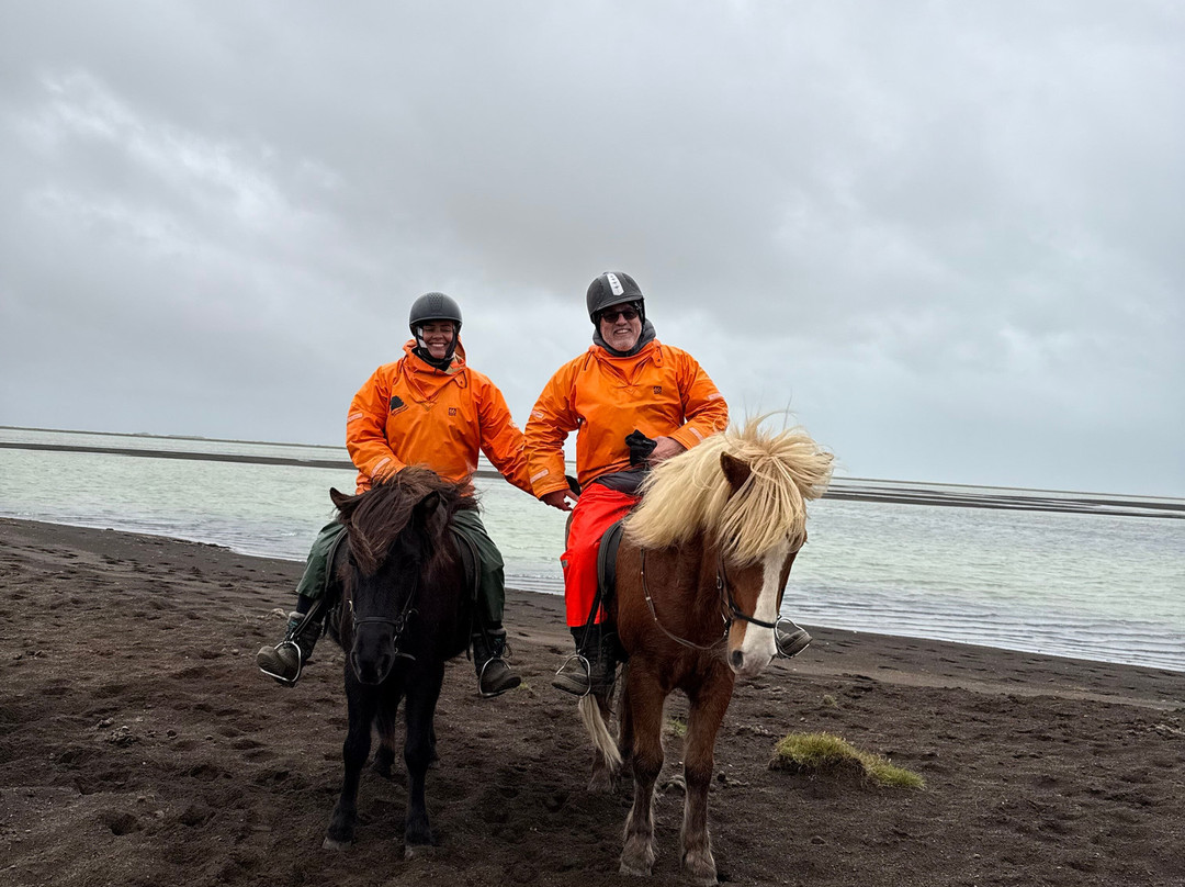 Eldhestar Volcano Horses-Olfus必去景点