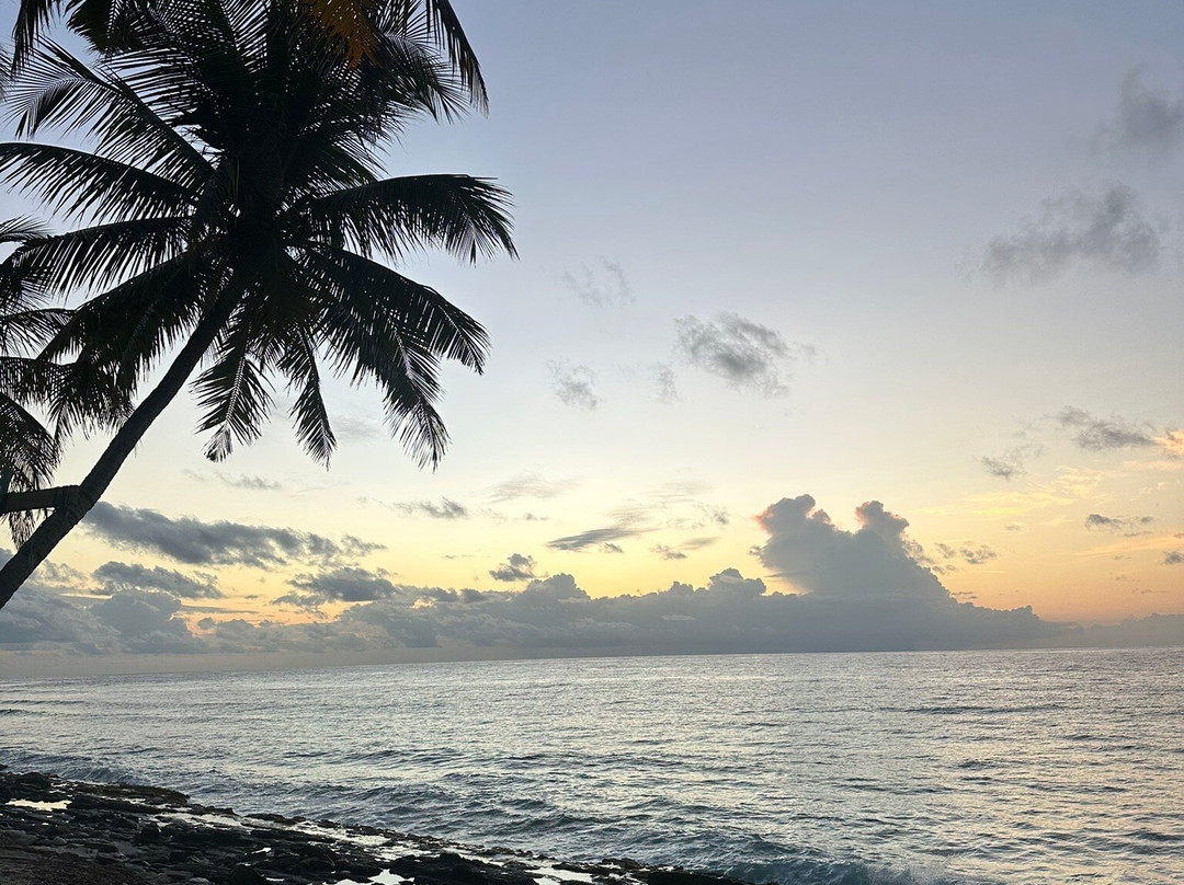 Fuvahmulah Scuba Club主图