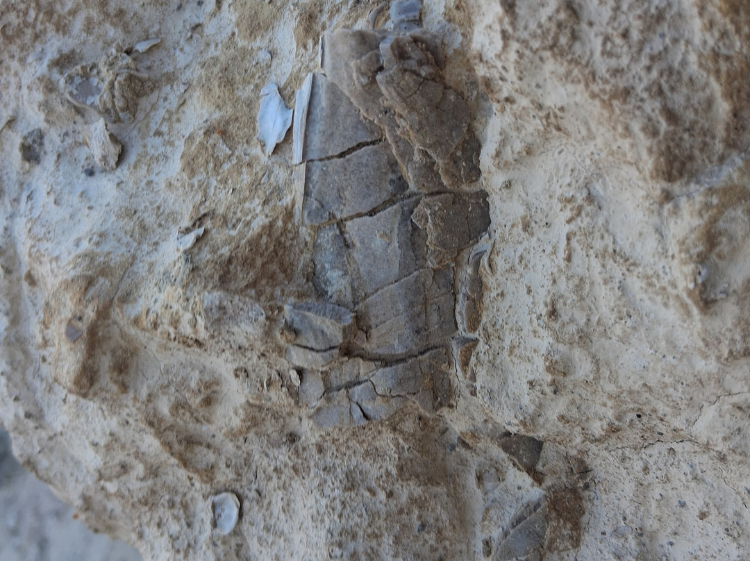 Castle Rock-Quinter必去景点