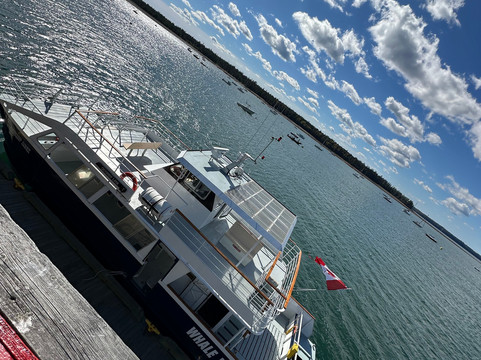 Quoddy Link Marine Inc.-Saint Andrews必去景点