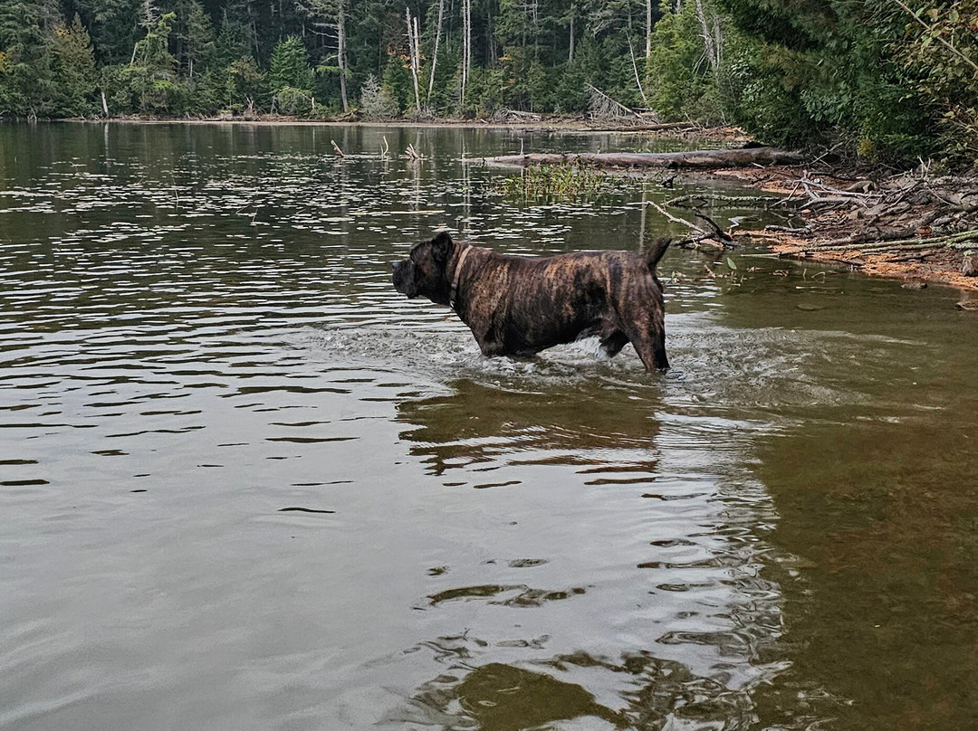 South Algonquin Trails-Harcourt必去景点