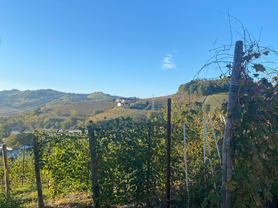 Hotel Villa Lauri主图