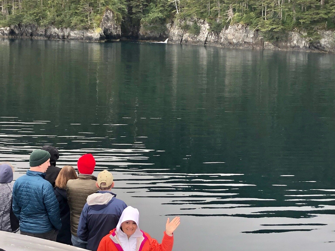 Phillips Cruises & Tours, LLC-惠提尔必去景点