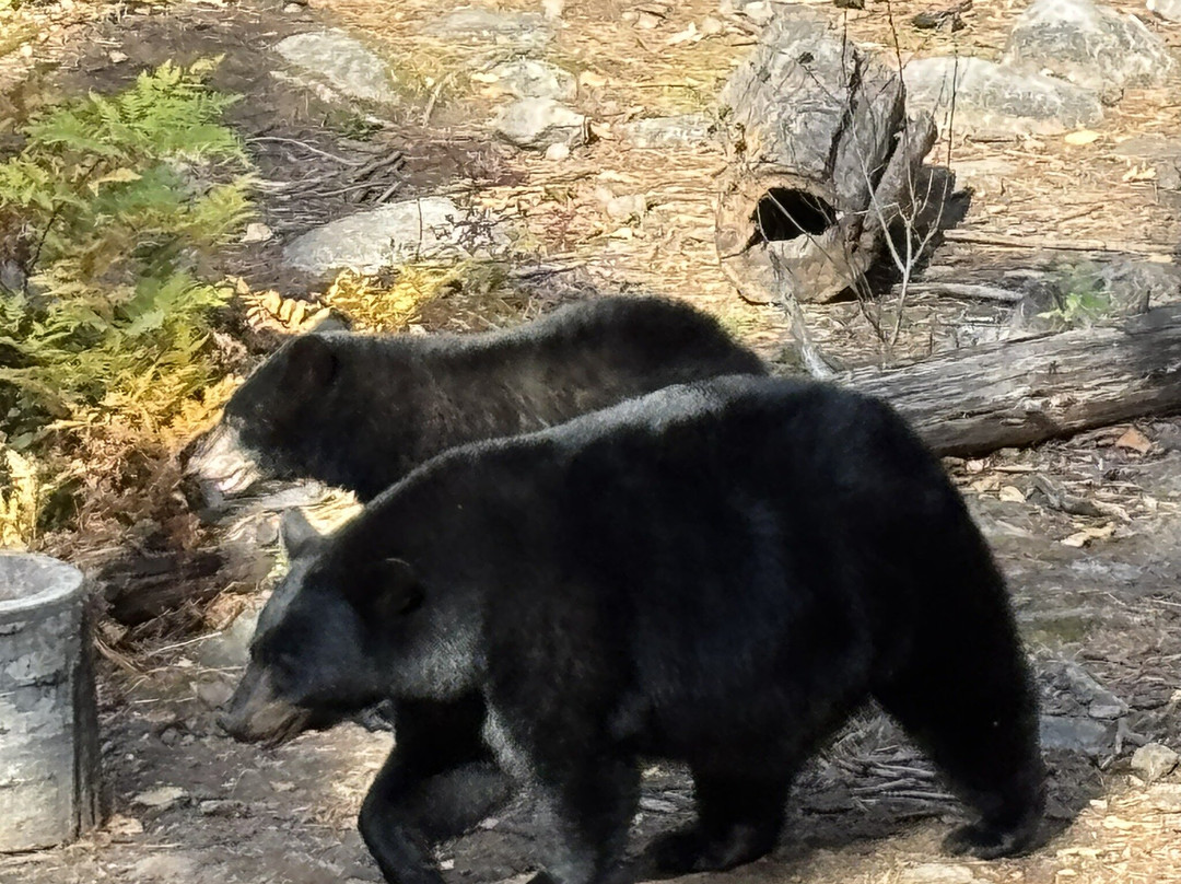 Domaine Le Pic Bois-拉马尔拜必去景点