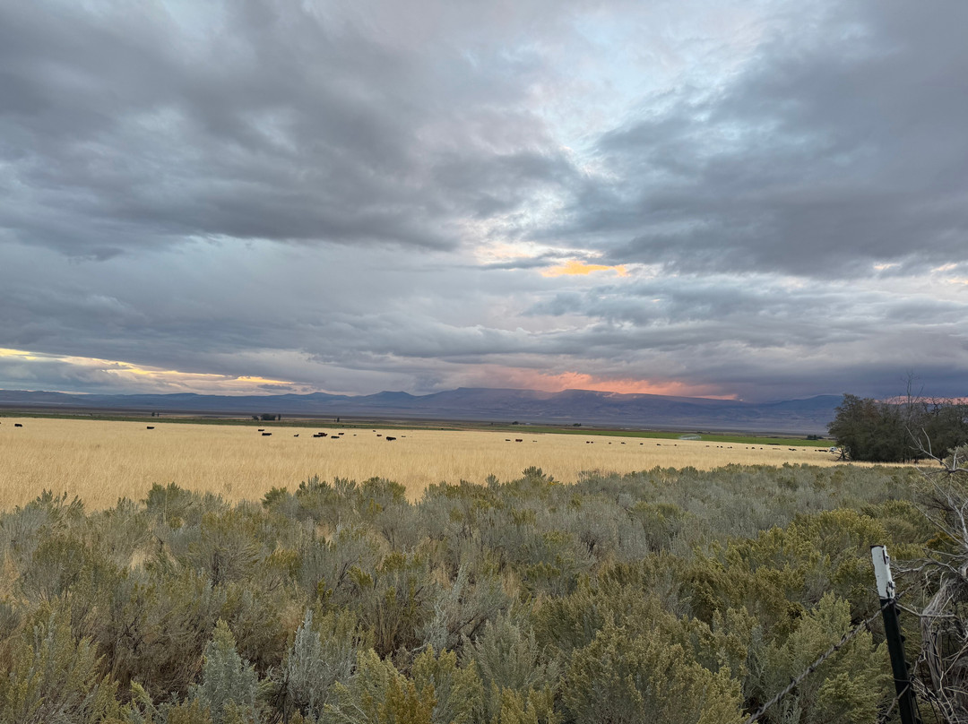 Cockrell's High Desert Lodging主图