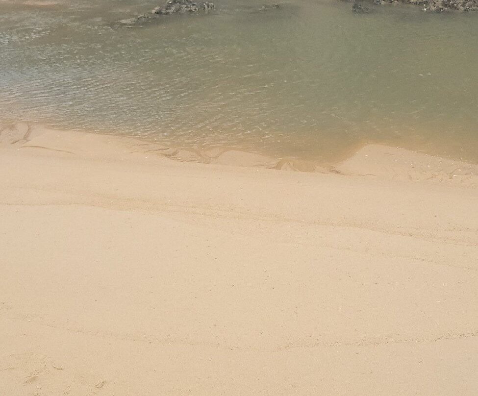 Abel Tasman Sea Shuttle Ltd-莫图伊卡必去景点